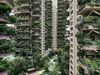 Plantele scapă de sub control într-un cartier nou construit din China