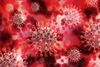 WHO: vaccinul s-ar putea să nu prevină răspândirea virusului