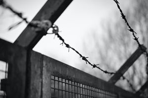 SUA aprobă proiectul de lege ce interzice importurile din China realizate prin muncă forțată