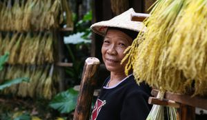 În China, cultura tradițională este pe cale de dispariție