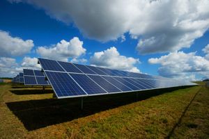 Beijing îi aruncă pe fermierii chinezi în datorii enorme